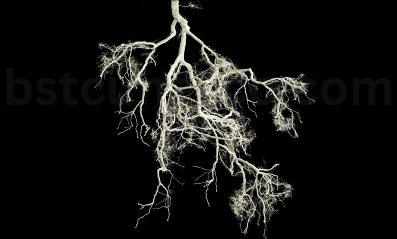 انقلابی در کشاورزی در باشگاه علوم پایه و فناوری یونسکو